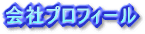 ��Ѓv���t�B�[��
